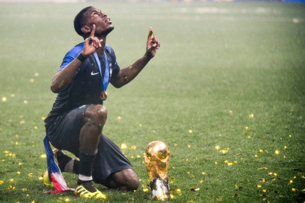 功能及肌肉 功能及肌肉