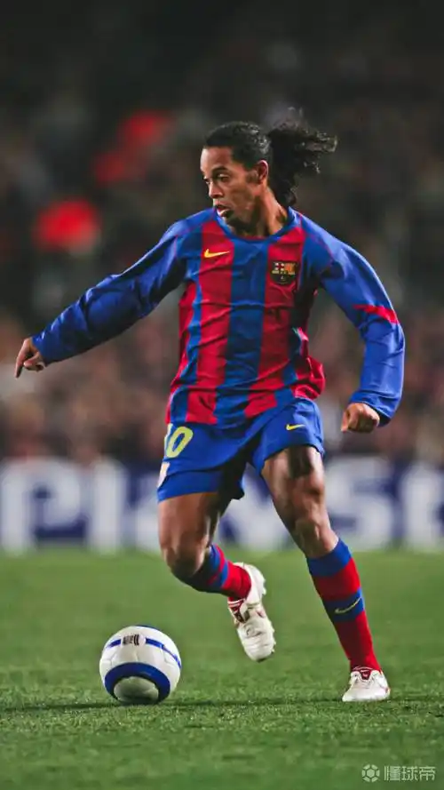 也被许多专 也被许多专