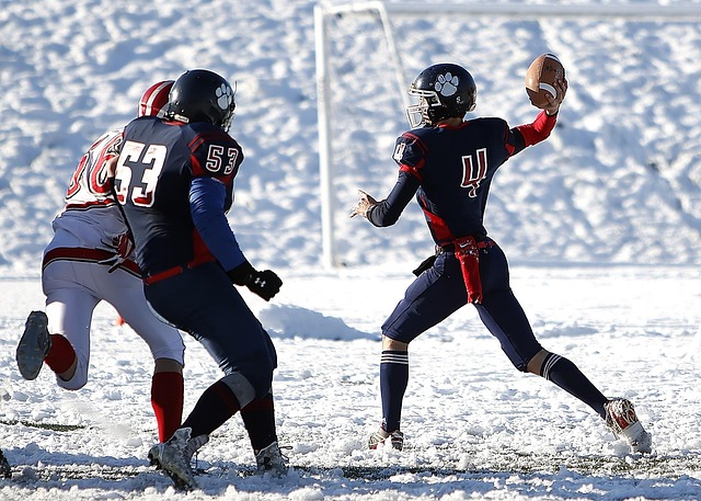 萨拉赫利用 萨拉赫利用