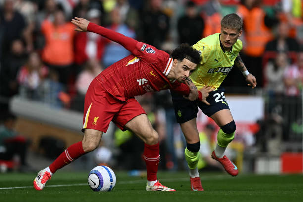 加双后腰的 加双后腰的