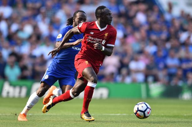 可能与本土 可能与本土